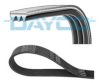 DAYCO 3PK736 V-Ribbed Belts